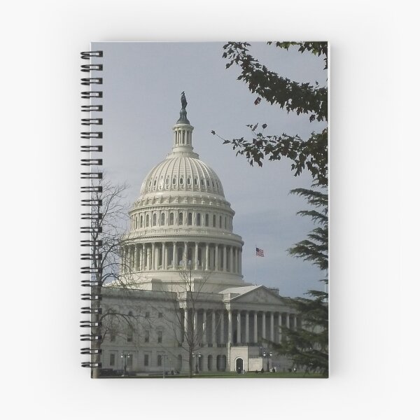 Item preview, capital  designed and sold by MBILy.