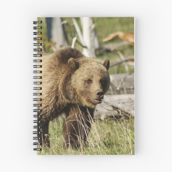 Item preview, grizzly in the snags designed and sold by grizzbass.