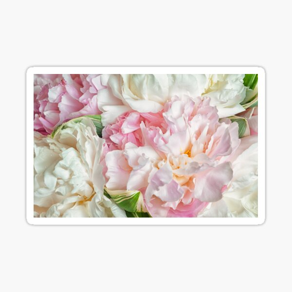 Item preview, Blush Pink Flowers Blooming designed and sold by newburyboutique.