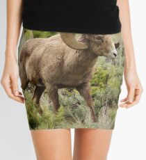 fairyland Mini Skirt