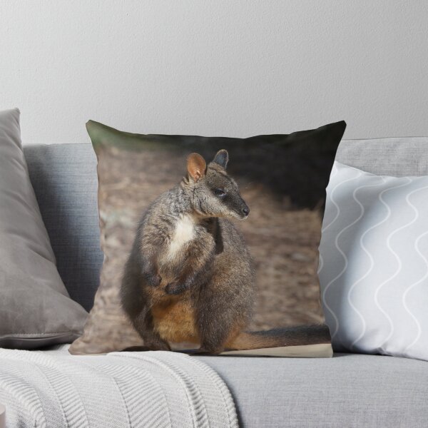 Item preview, Brush Tailed Rock Wallaby designed and sold by GP1746.