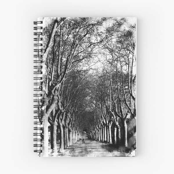 Item preview, Sycamores designed and sold by Hugh Olin Smith Jr.