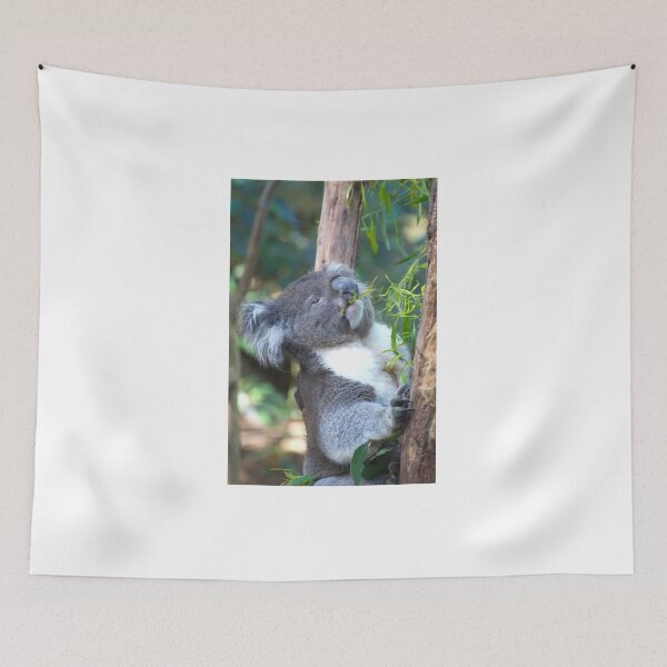 Item preview, Koala Feeding designed and sold by GP1746.