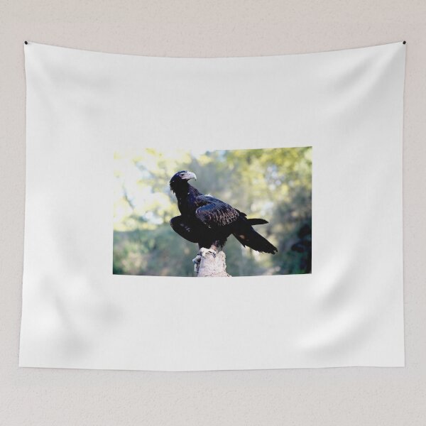 Item preview, Wedge Tailed Eagle designed and sold by GP1746.