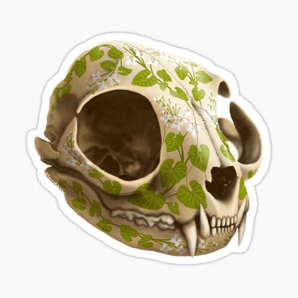 cat skull decorated with wasabi flowers Sticker
