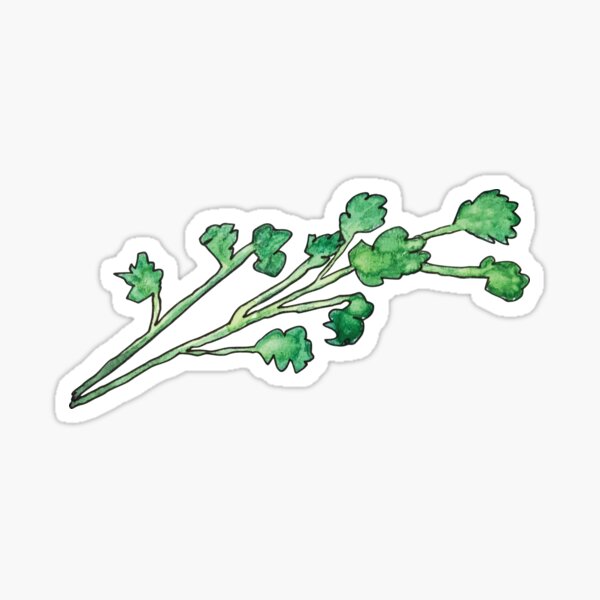 Cilantro/Parsley (Taco Time Series) Sticker
