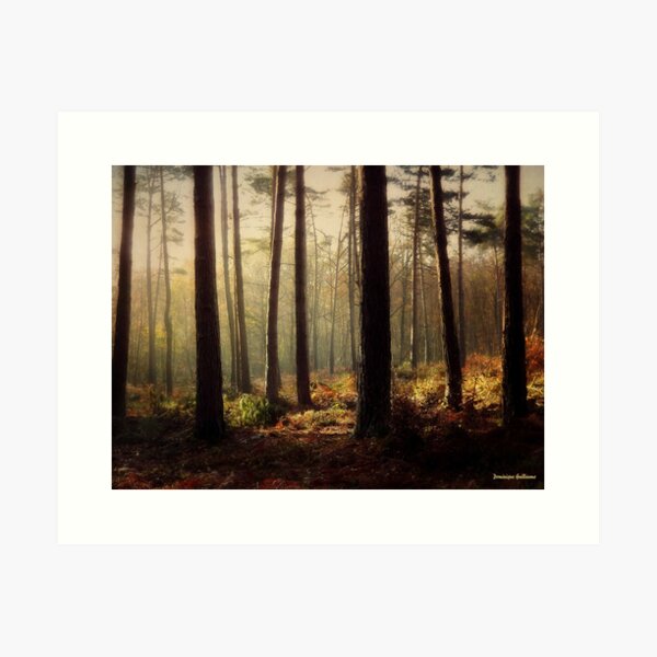 Entre l'ombre et la lumière n°7 Impression artistique