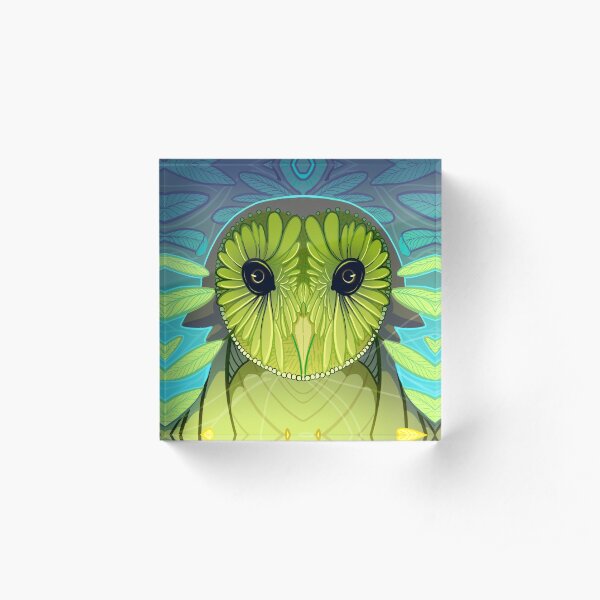 The Owl Acrylic Block