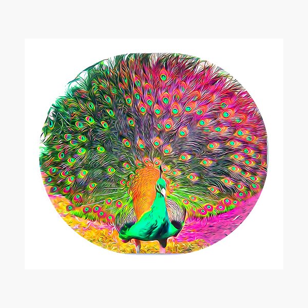 Item preview, Pretty Peacock designed and sold by jenstar77.