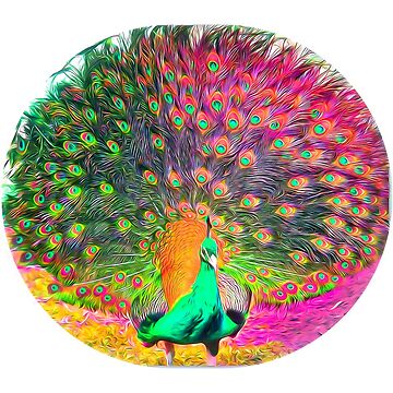 Artwork thumbnail, Pretty Peacock by jenstar77