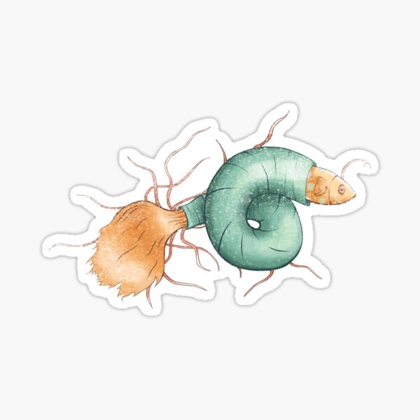 Coily Cod Sticker