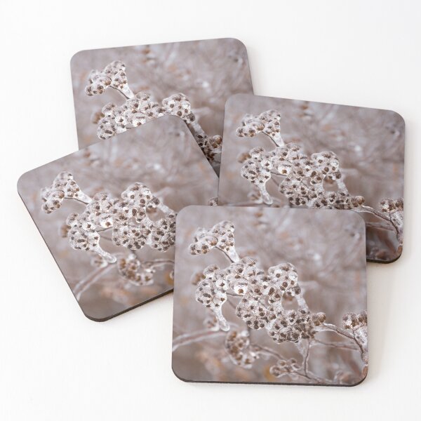 Item preview, Of Weeds, Seed Pods and Crystals  designed and sold by Georgia Mizuleva.