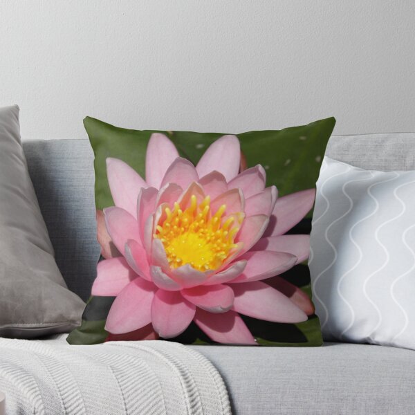 Artikelvorschau, Pink Lily entworfen und verkauft von Jason Dymock Photography.