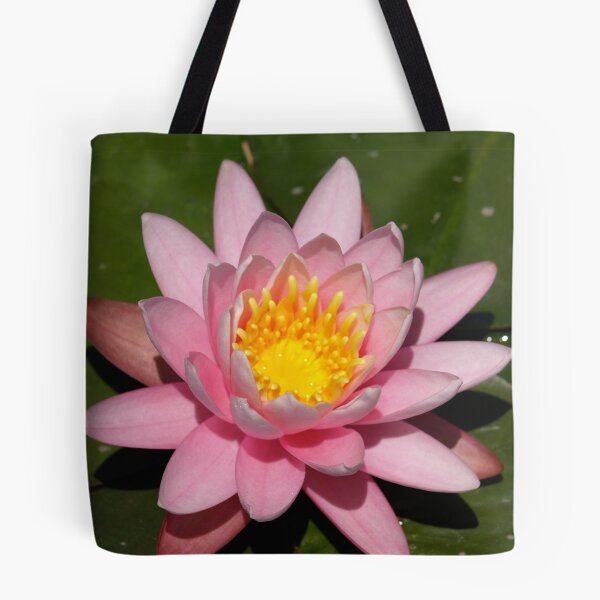 Item preview, Pink Lily designed and sold by Jason Dymock Photography.