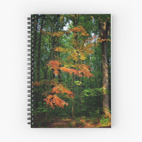 Item preview, Autumn Sunlight designed and sold by James DeFazio.