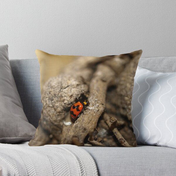 Item preview, Lady beetle designed and sold by Jason Dymock Photography.