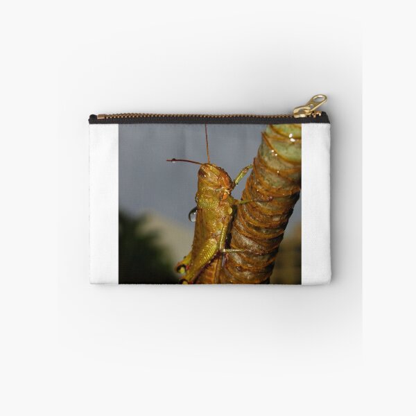 Item preview, Wet Cricket designed and sold by Jason Dymock Photography.