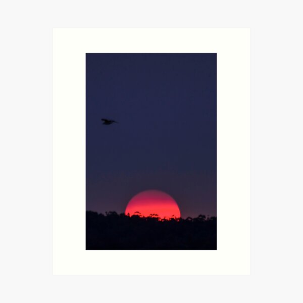 Setting Sun Art Print