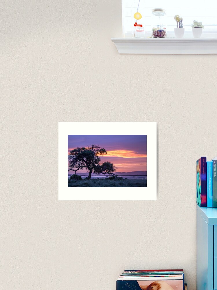 Thumbnail 2 of 3, Art Print, The Tree ~ at Sunset designed and sold by KimOgdenPhotos.