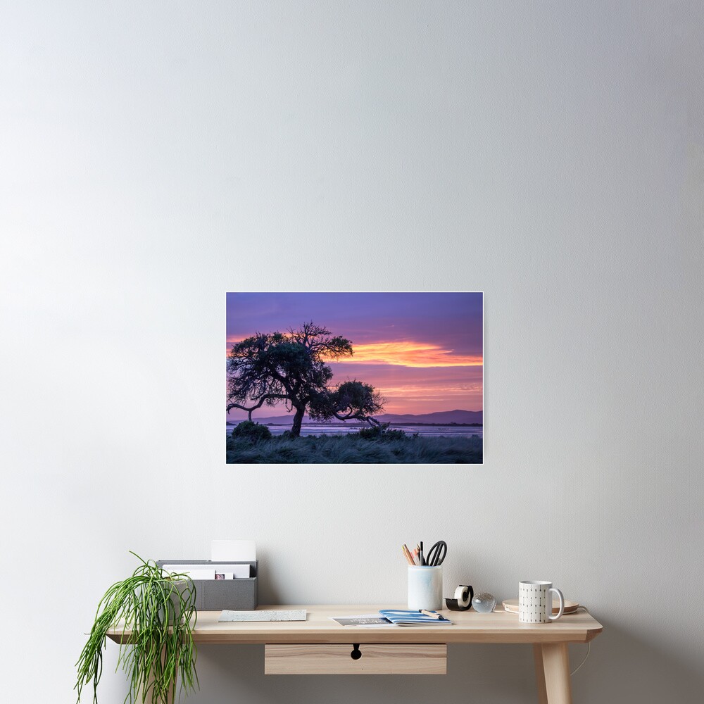 Item preview, Poster designed and sold by KimOgdenPhotos.