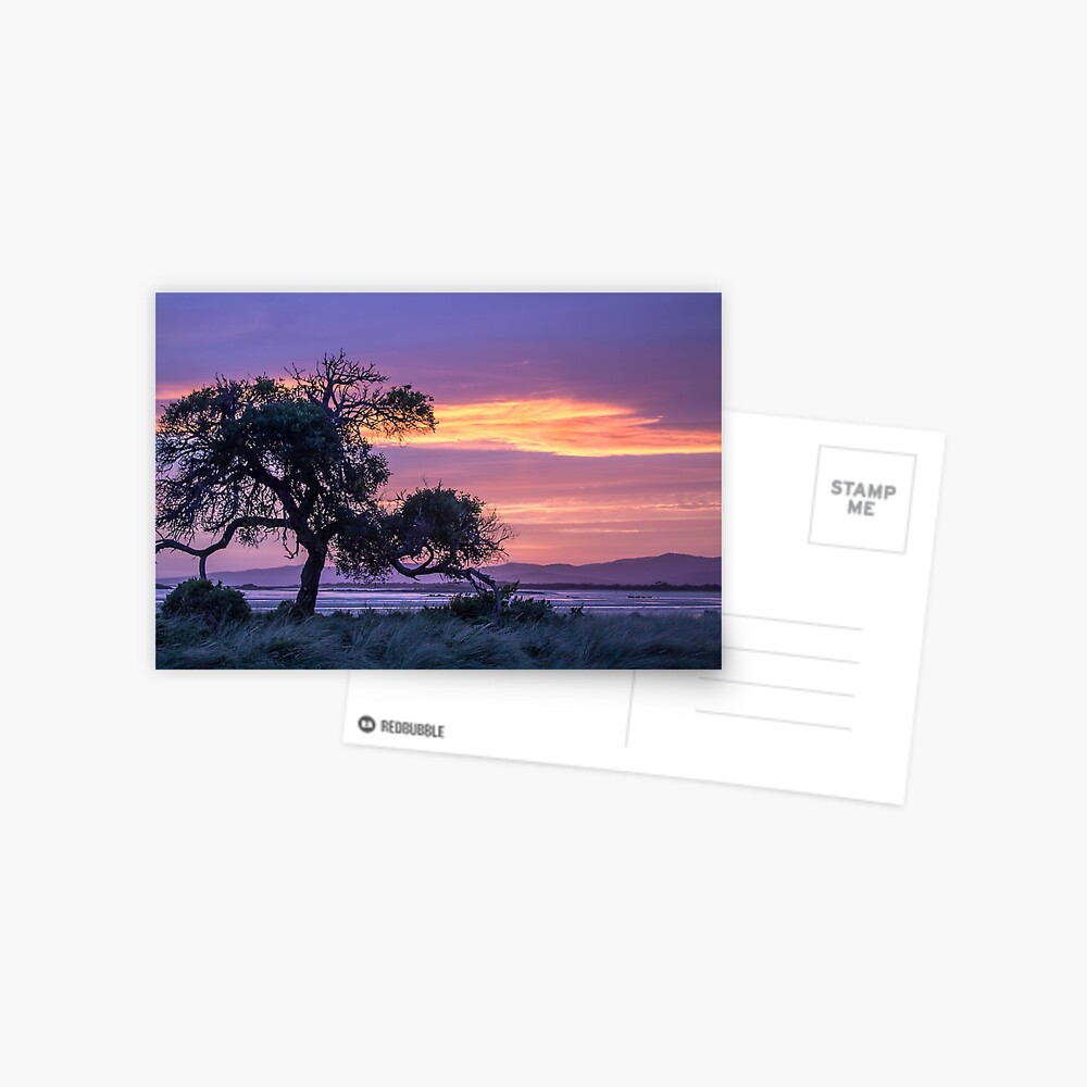Item preview, Postcard designed and sold by KimOgdenPhotos.