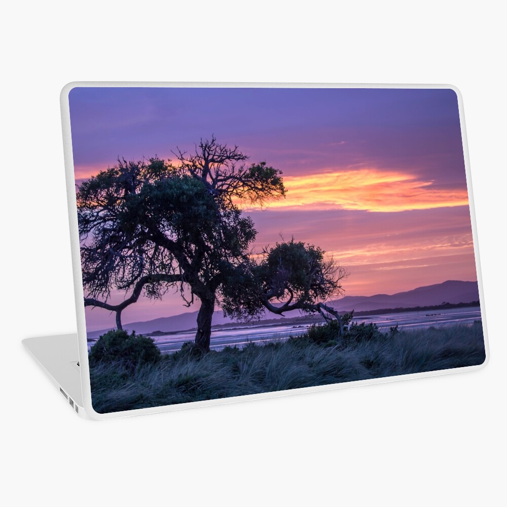 Item preview, Laptop Skin designed and sold by KimOgdenPhotos.