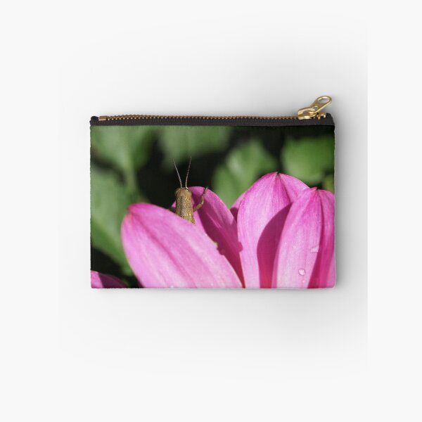 Item preview, Mr Cricket designed and sold by Jason Dymock Photography.