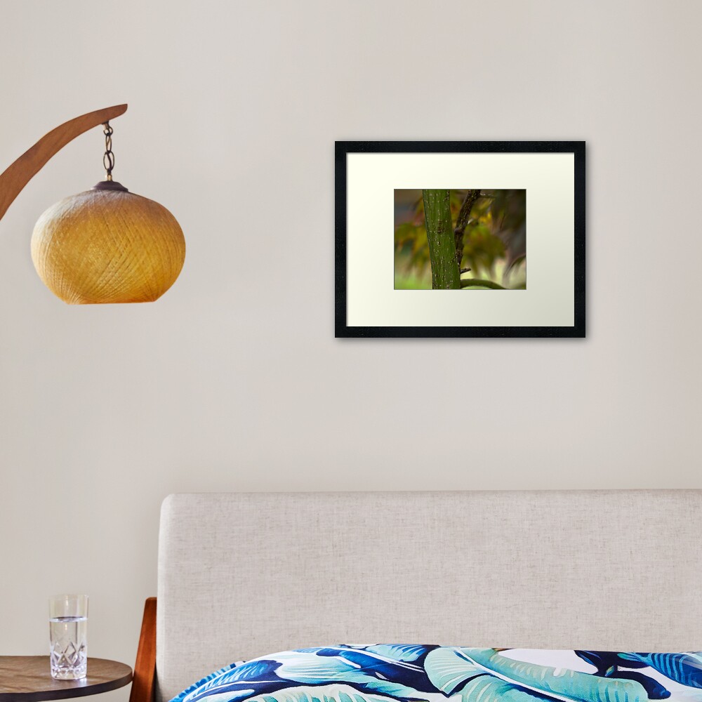 Everything is Beautiful Framed Art Print