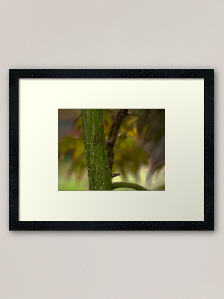 Alternate view of Everything is Beautiful Framed Art Print
