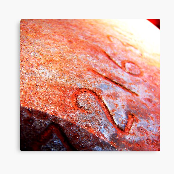 ... 216 ... Canvas Print