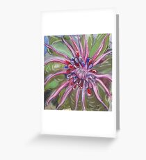 Bromiliad Greeting Card