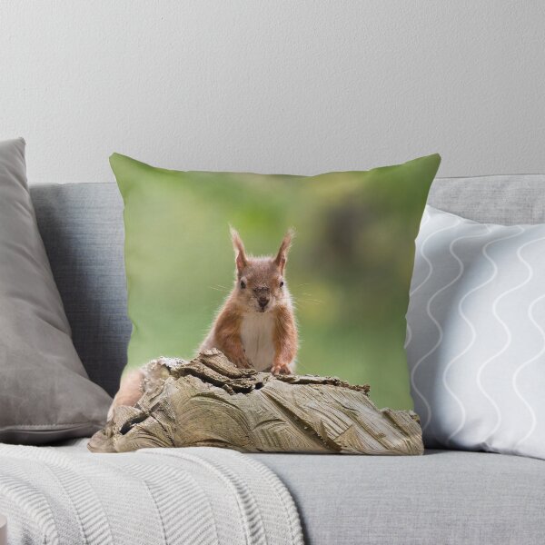 Item preview, Red Squirrel on Log designed and sold by Sue Robinson.