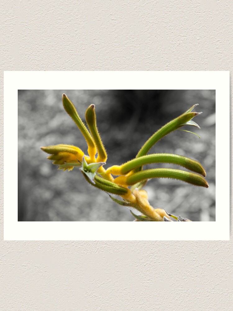 Alternate view of Green and gold Art Print