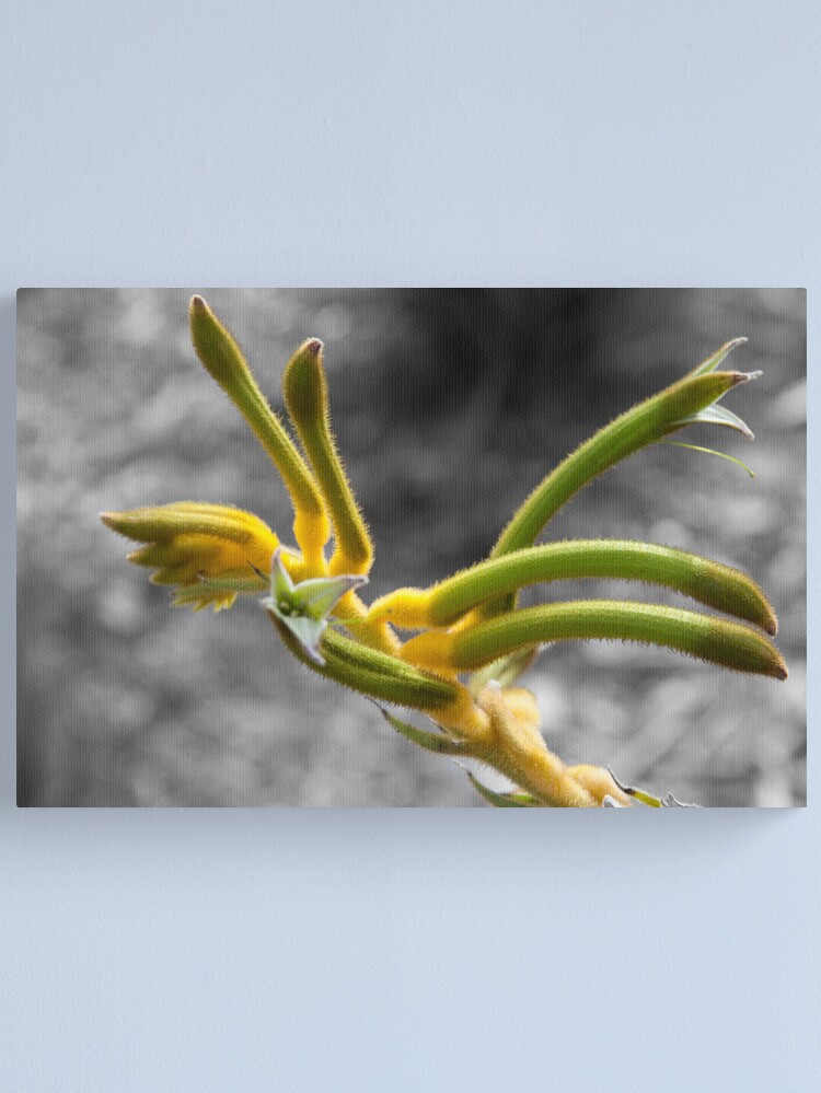 Alternate view of Green and gold Canvas Print