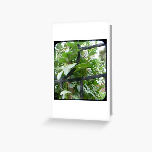 Peter's plot Greeting Card