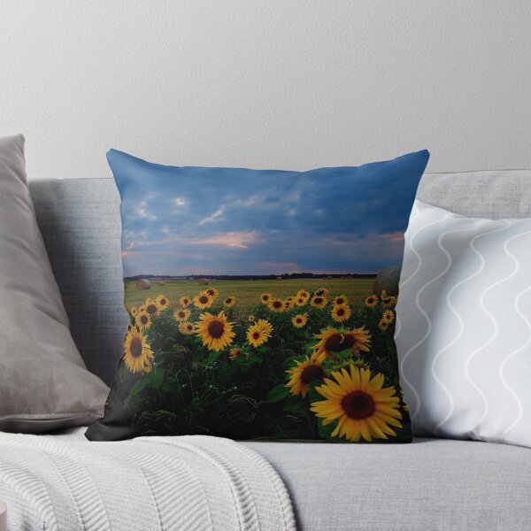 Item preview, Clippesby Sunset designed and sold by richardgowen.