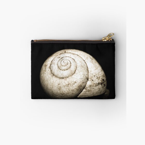 Item preview, Snail Shell designed and sold by Jason Dymock Photography.
