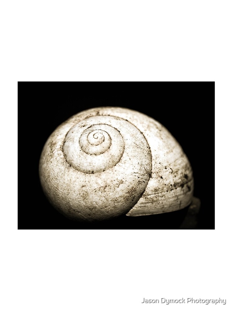 Thumbnail 3 of 3, Scarf, Snail Shell designed and sold by dymock.