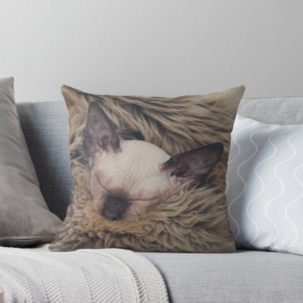 Item preview, Sleepy Sphynx designed and sold by CathHolmesPhoto.