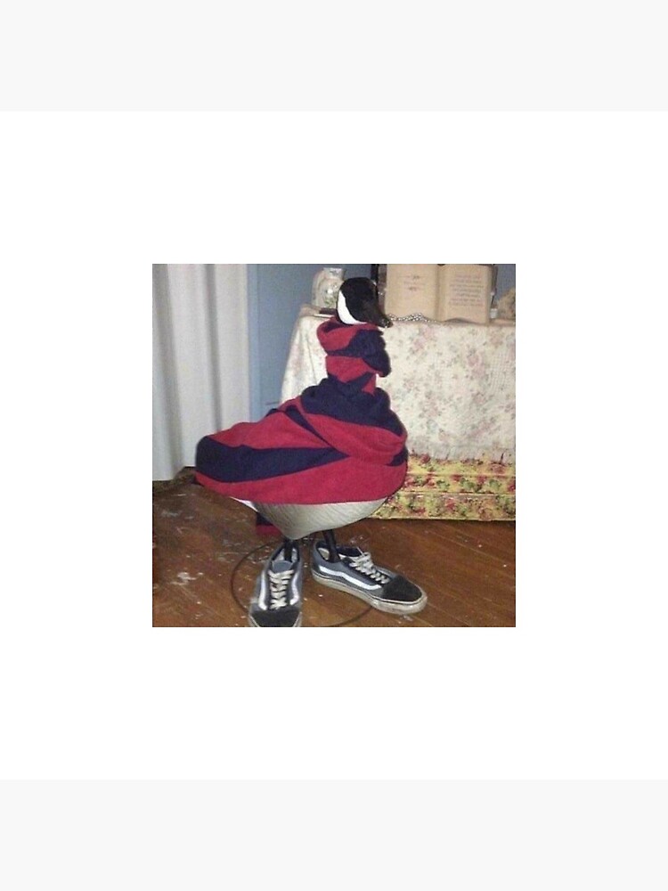 duck with shoes