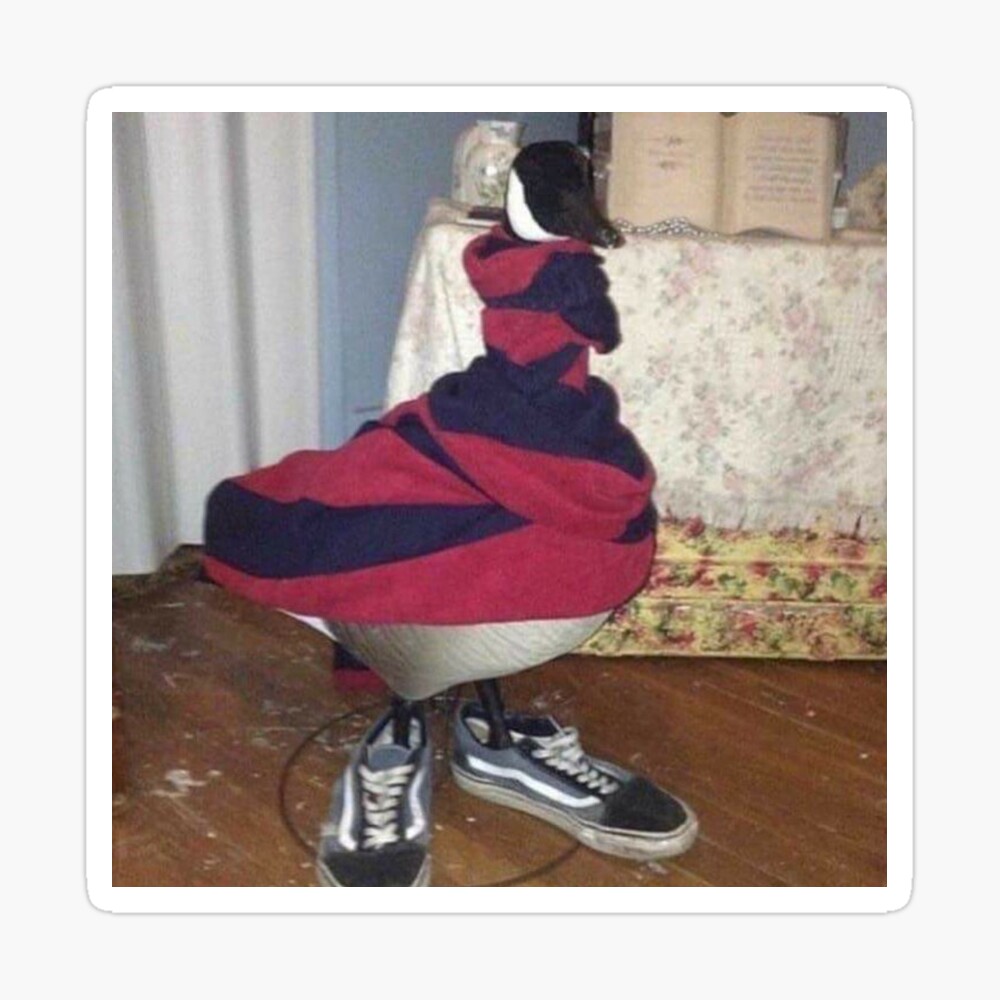 duck with shoes