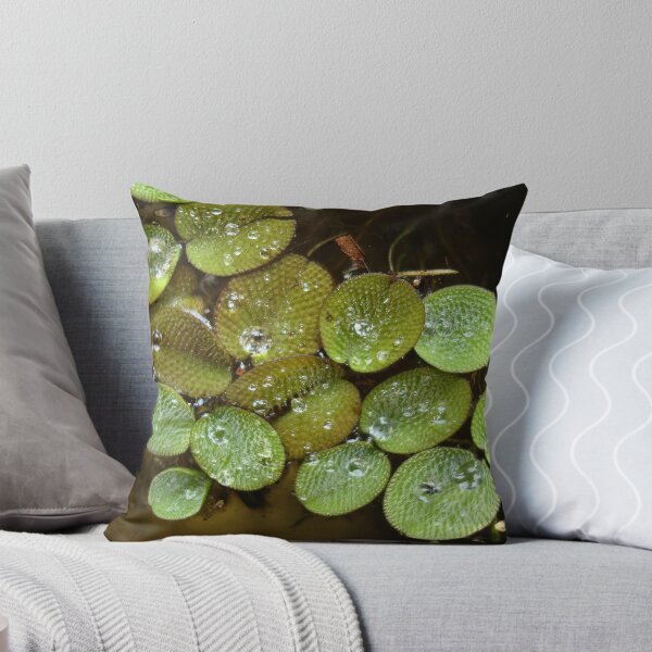 Item preview, Water Spangles (Salvinia) After the Rain designed and sold by May Lattanzio.