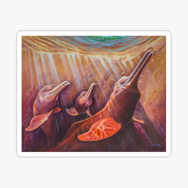 "Pink Dolphins swimming in the Black River" Pegatina
