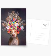 Flower Power, Frida Postcards