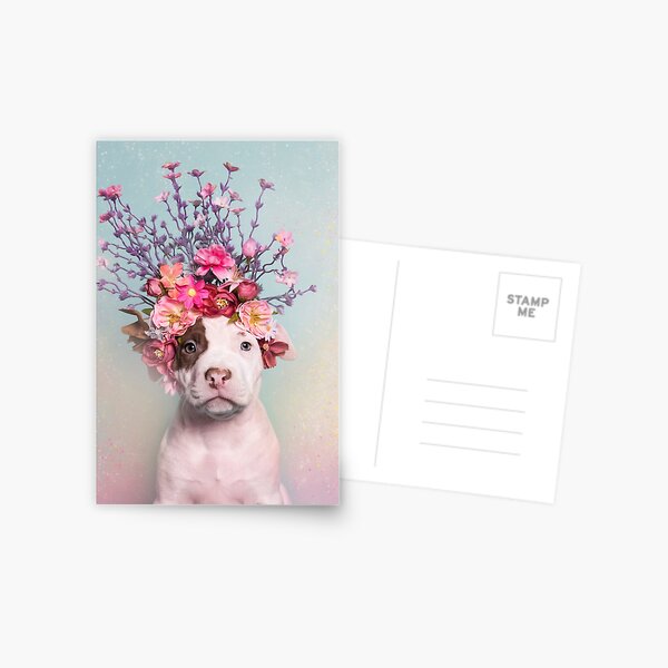 Flower Power, Rum Postcard