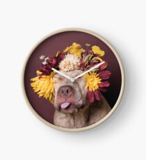 Flower Power, Walter ist dumm Uhr