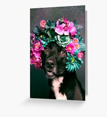 Flower Power, Kaylee Greeting Card
