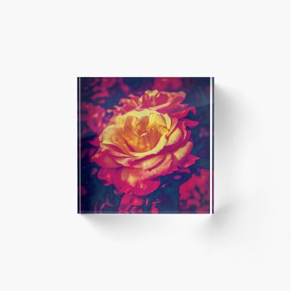 Item preview, Fiery Rose  designed and sold by CAPress-Shop.