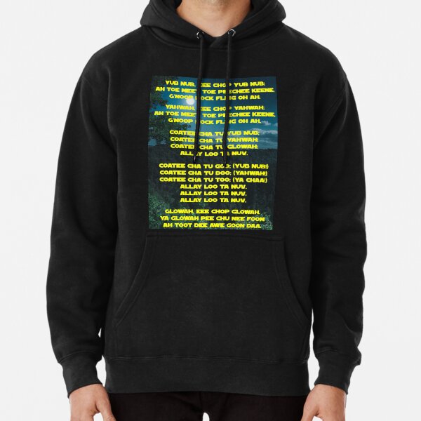 Hoodie definition sweatshirt discount blackbear