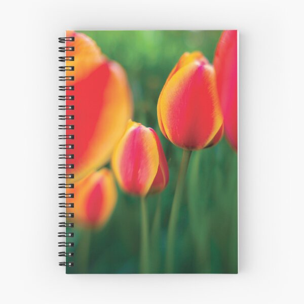 Artikelvorschau, Tulpen 2 entworfen und verkauft von John Poppleton.